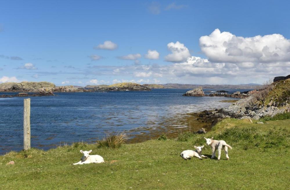 Culkein Lodge Drumbeg Kültér fotó
